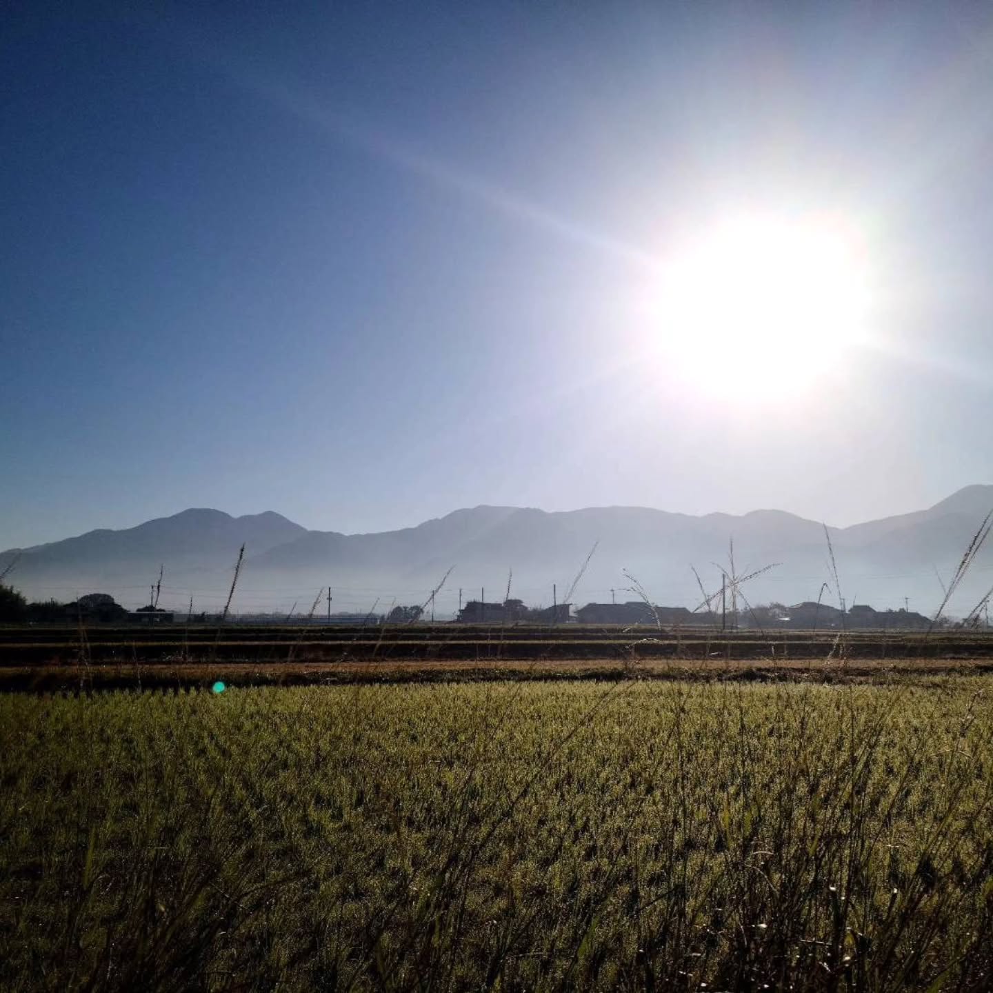 インスタグラム132